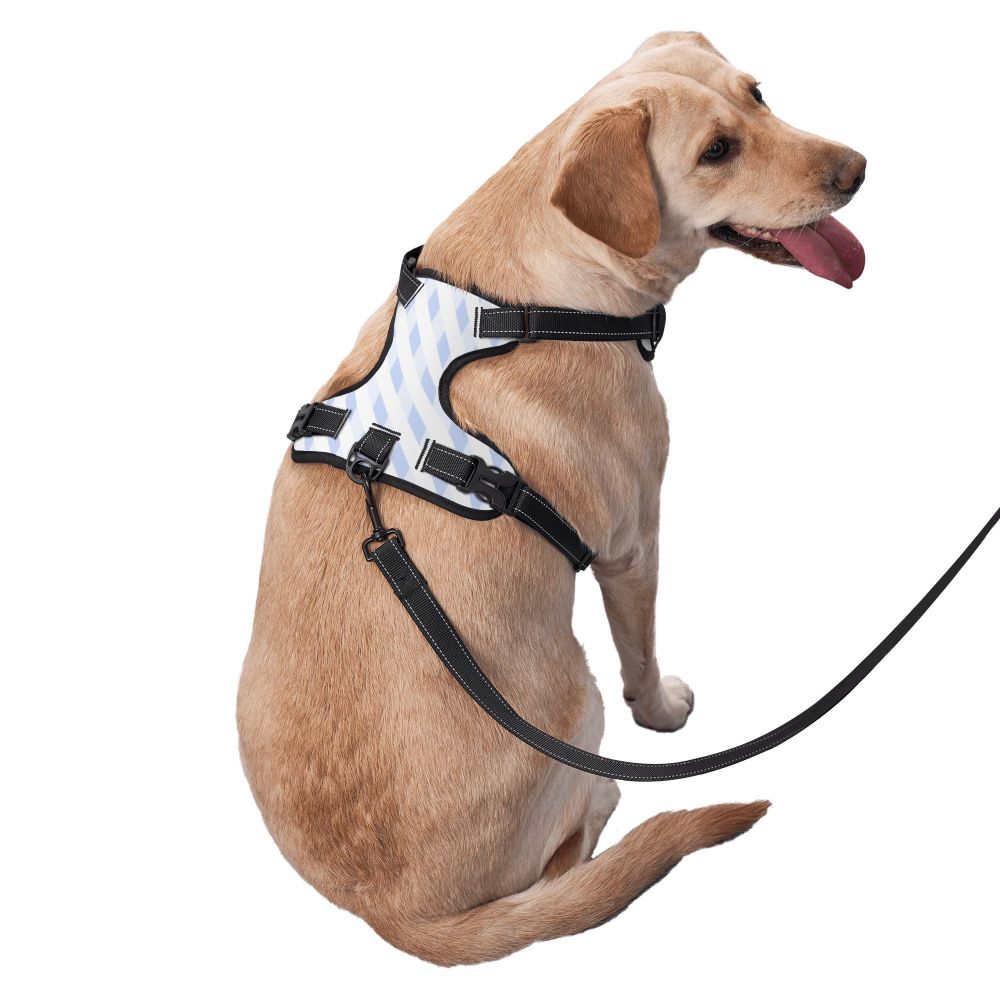 Oxford Padded Dog Harness with Leash — No-Pull Adjustable Vest for Small to Large Dogs