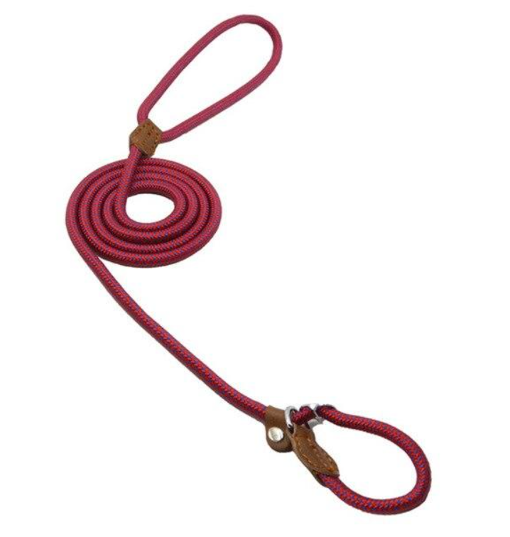 Premium nylon pup set for dogs