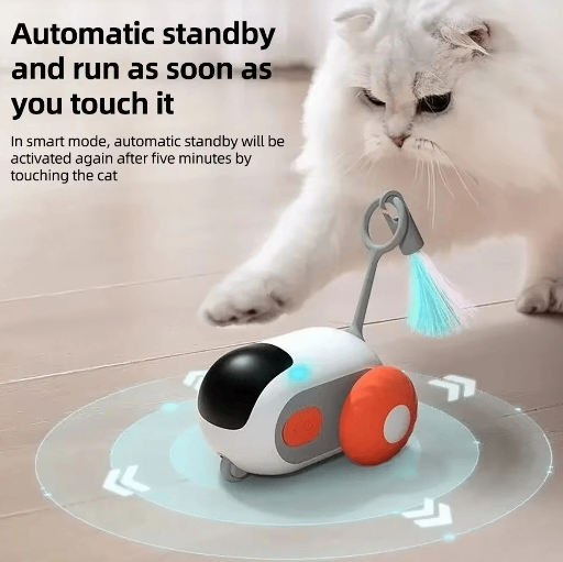 "Cat playing with smart toy car on floor indoors"