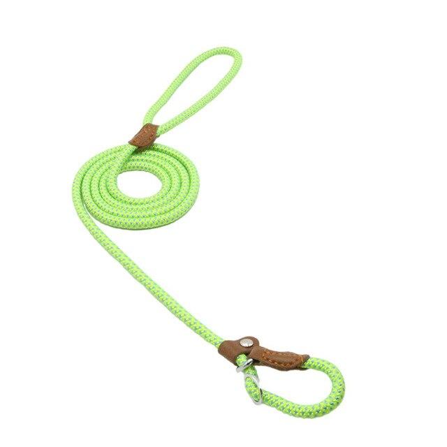 Adjustable nylon dog collar and leash