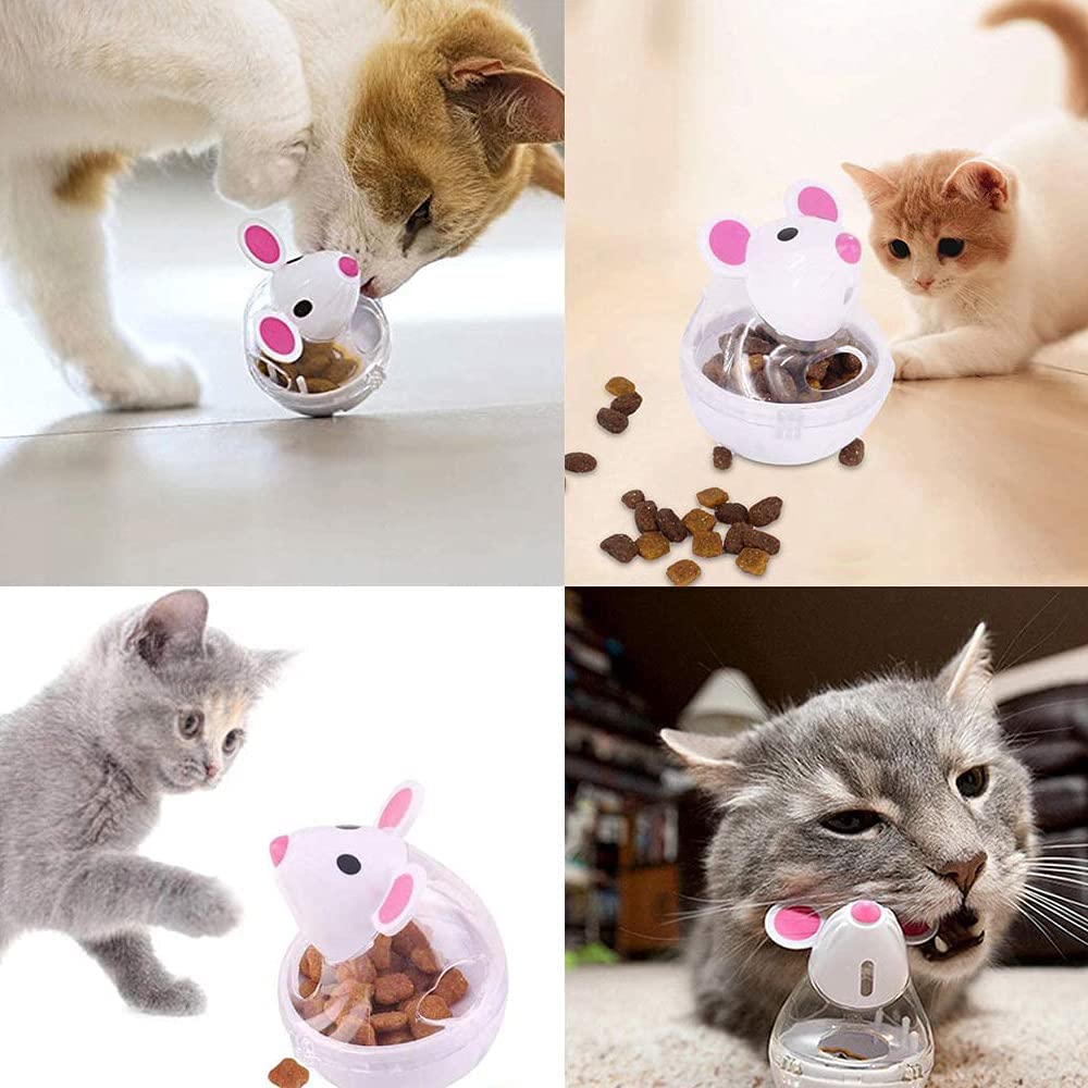 "Cat playing with food tumbler feeder ball on floor"
