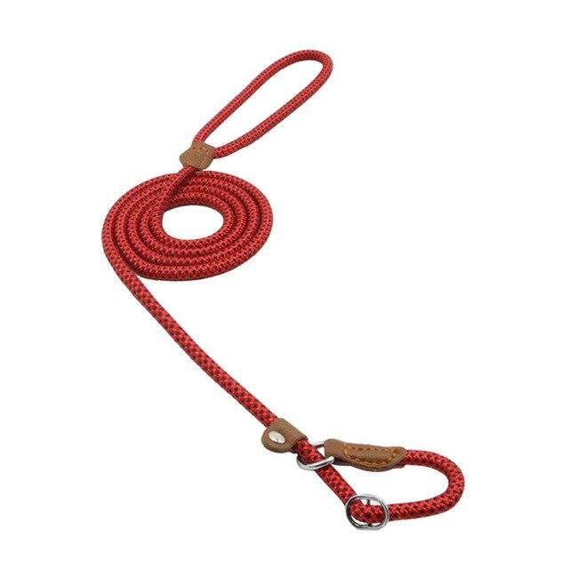 Nylon pup set dog collar and leash combo