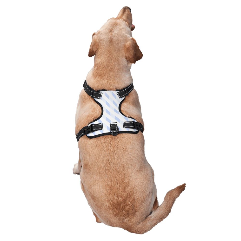 Oxford Padded Dog Harness with Leash — No-Pull Adjustable Vest for Small to Large Dogs