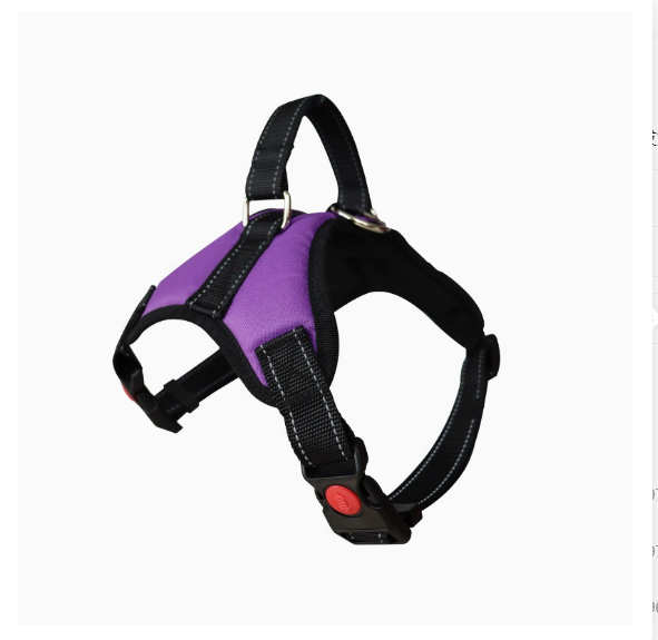 Oxford Padded Dog Harness with Leash — No-Pull Adjustable Vest for Small to Large Dogs